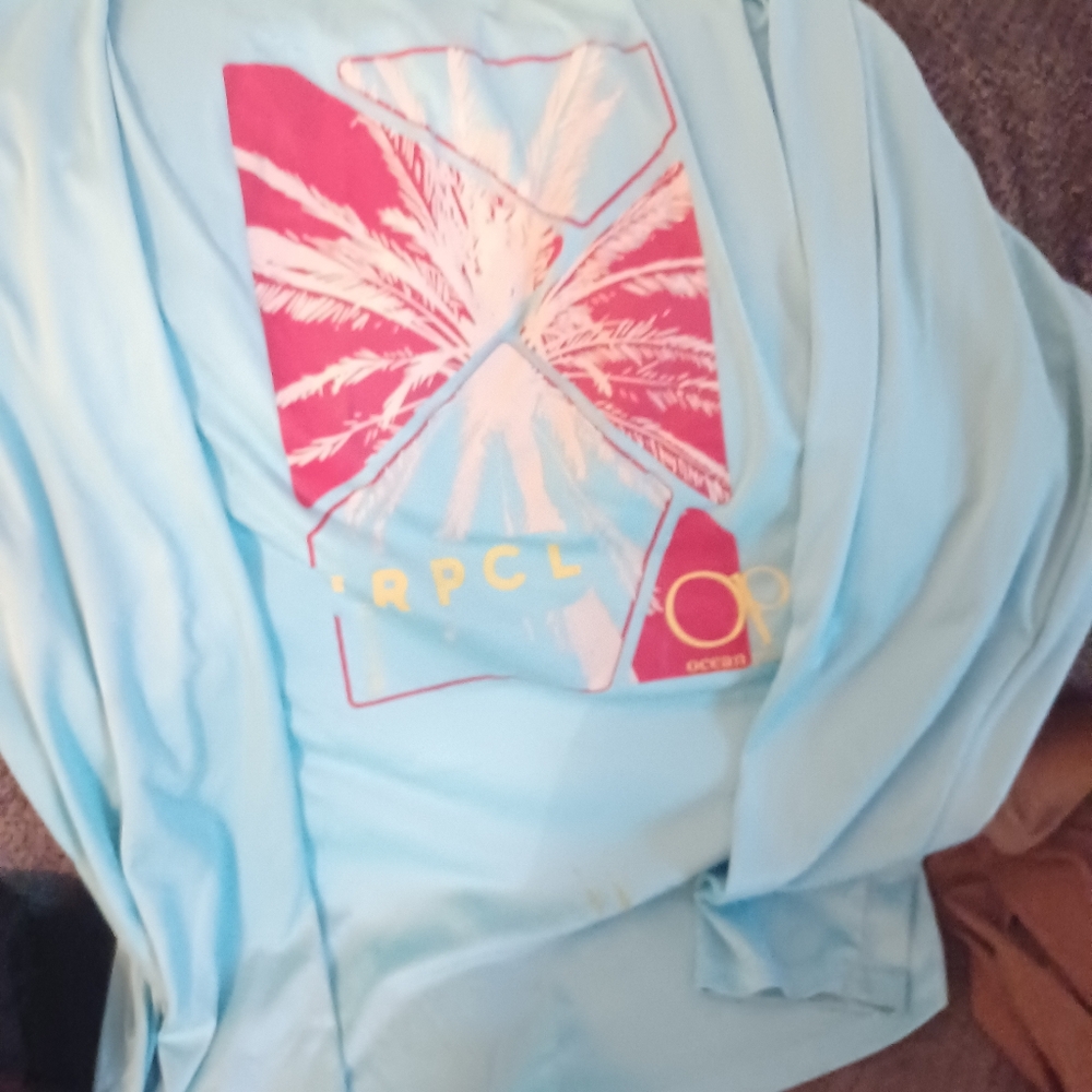 Light Blue Graphic Long Sleeve Shirt